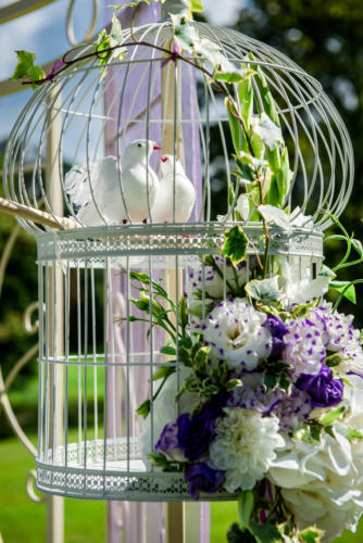 Beautiful wedding decoration. Birdcage with artificial white bir